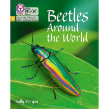 Beetles Around the World by Sally Morgan Paperback Book