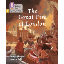 The Great Fire of London by Hawys Morgan Paperback Book
