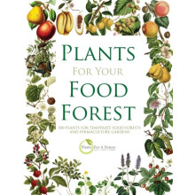 Plants for Your Food Forest by Plants for a Future Paperback Book