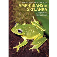 A Photographic Field Guide to the Amphibians of Sri Lanka by Dilan Cha