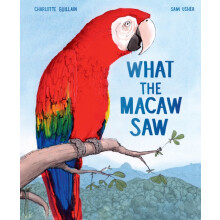 What the Macaw Saw by Charlotte Guillain Hardcover Book