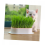 Κιτ 3 τεμαχίων κουτιού φύτευσης σπιτιού, βλαστάρια χωρίς χώμα για κατοικίδια, 2