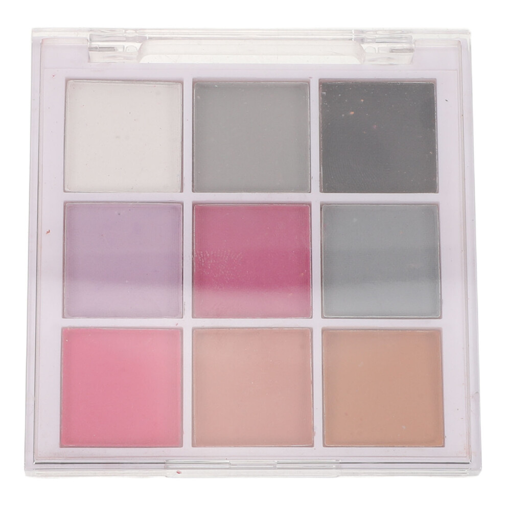 Solustre 5 Boxes Iridescent Nail Powder Pigment For Nail Art Decoration