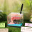 Recycelbarer Tischkalender mit blühendem 3D-Blumenplan für-Lila 7