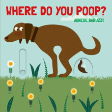 Where Do You Poop A potty training board book by Agnese Baruzzi Other