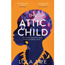 The Attic Child by Lola Jaye Paperback Book