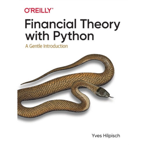 Financial Theory with Python by Yves Hilpisch Paperback Book