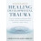 The Practical Guide for Healing Developmental Trauma by Brad Kammer Pa 1