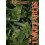 The Unkillables by Jo Lambell Hardcover Book 1