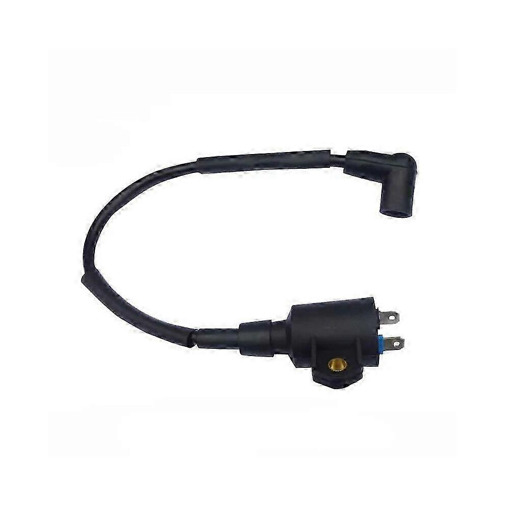Kikidex (As Show, Ignitor And Magneto) Et950 Et650 Tg950 High Voltage Set Ignition Coil Ignitor Magneto For Yamaha Generator