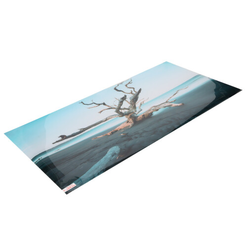 3D PVC Aquarium Background Wall Sky Withered Tree 61x41cm Decor