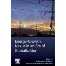 EnergyGrowth Nexus in an Era of Globalization Paperback Book