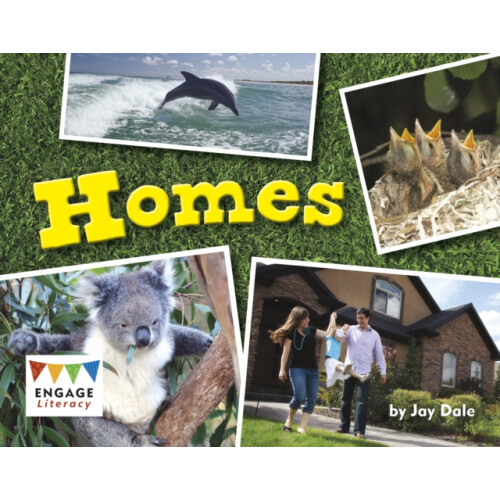 Homes by Jay Dale Paperback Book