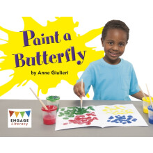 Paint a Butterfly by Anne Giulieri Paperback Book
