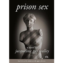 Prison Sex by Jacqueline Gay Walley Paperback Book