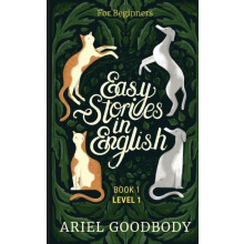 Easy Stories in English for Beginners by Ariel Goodbody Paperback Book
