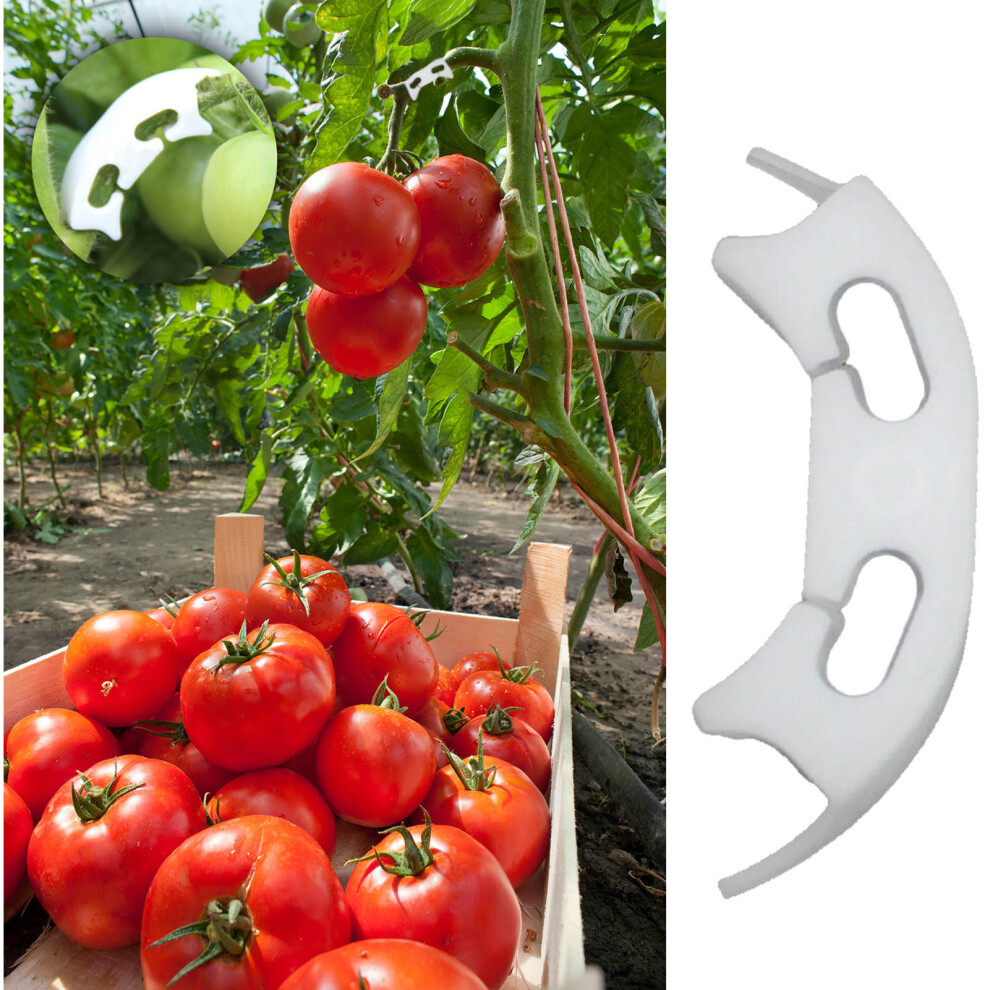 Tomato & Grape Support Clips 100Pcs Durable Plastic Fixation For Plant Growth 7651357508980