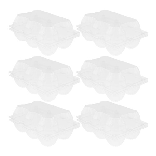 6St Eierkarton Mehrfachschlitz Gänseei Verpackungshalter