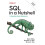 SQL in a Nutshell by Leo S. Hsu Paperback Book 1