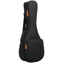 Mandoline Aufbewahrungsbehälter Tragetasche Für Instrumente