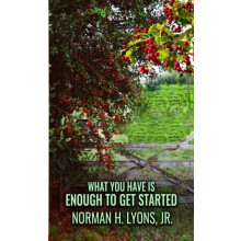What You Have Is Enough To Get Started by Lyons Norman H Jr Paperback