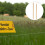Per Generatori: 8Mm X 300Mm In Rame Massiccio 11