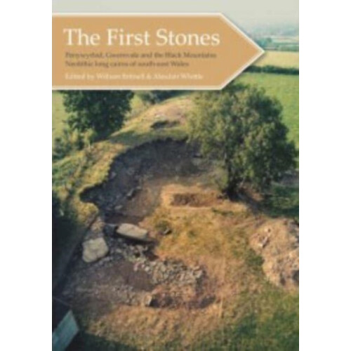 The First Stones Paperback Book