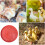 2 Voerbakken Voor Gefogelte (Rood) 11