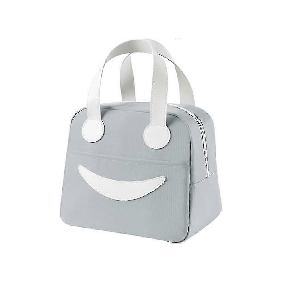Mini Portable Lunch Bag Gray, Insulated Picnic Cooler with Ice Pack