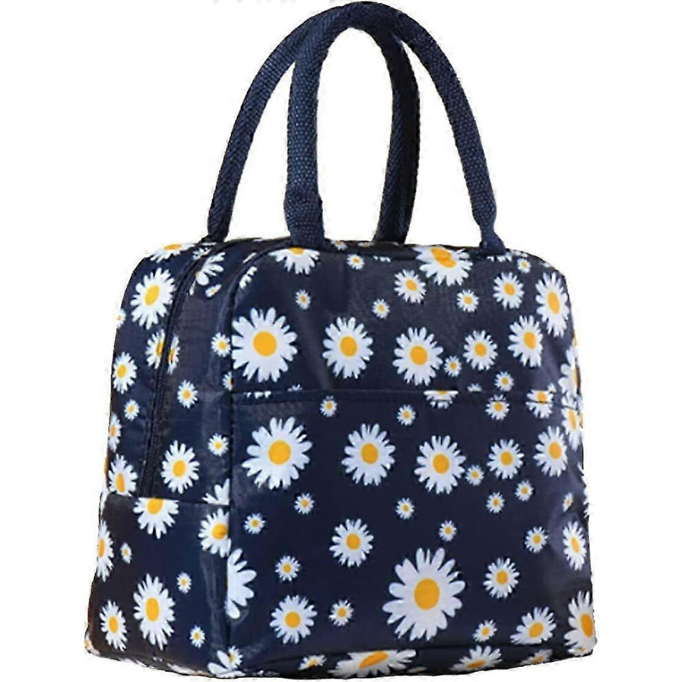 Insulated Lunch Bag Portable, Cooler Tote for Women Adults, School Picnic Camping