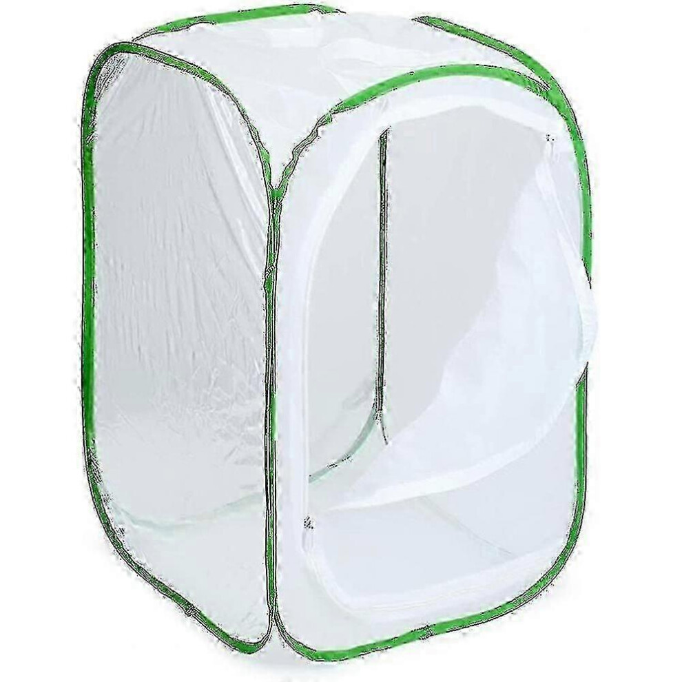 Kikidex (As Show, One Size) Insect Observation Cage Foldable - Butterfly Enclosure In 3 Sizes