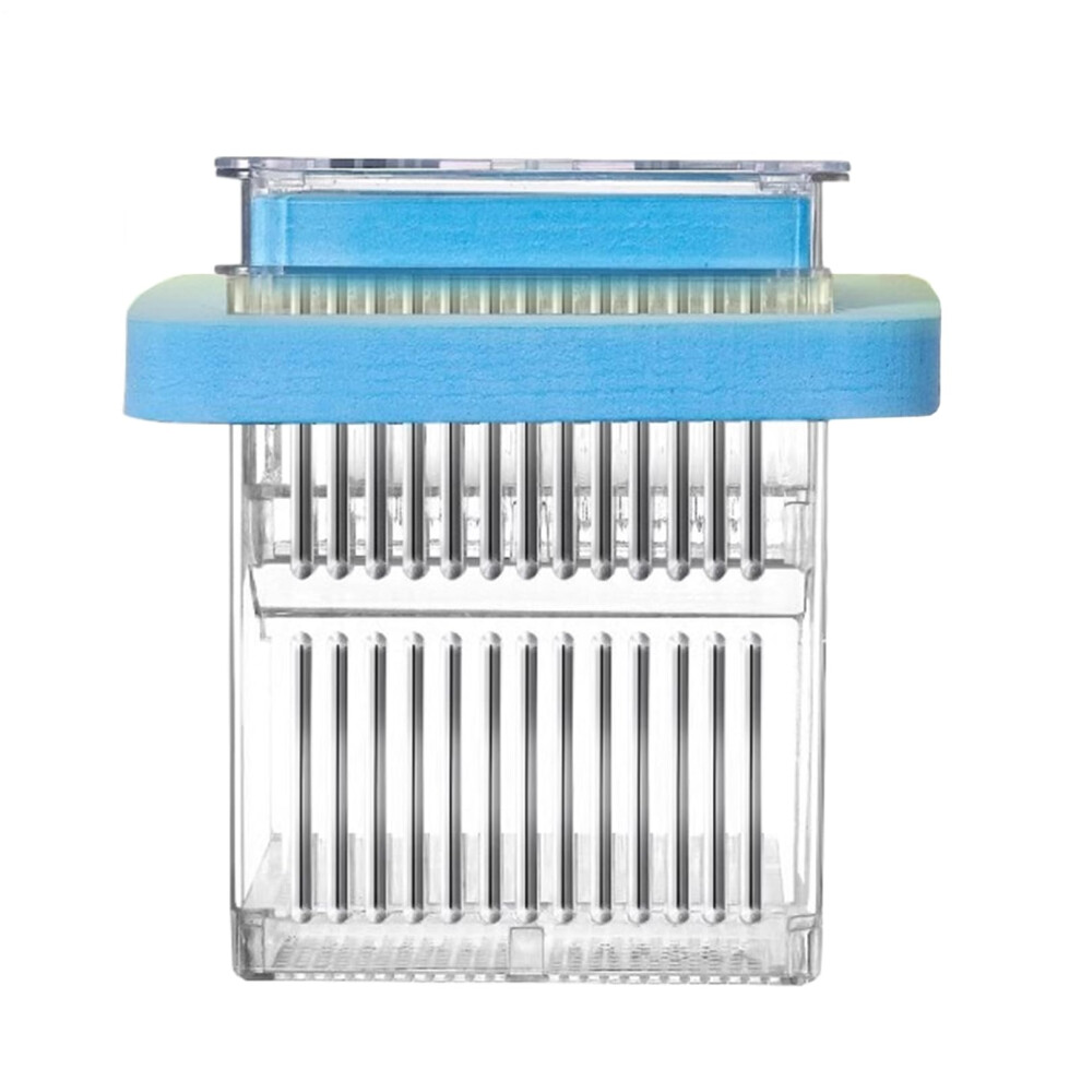 Floating Guppy Breeder Box Clear Frame Fish Tank Divider For Aquarium Blue Shrimp Incubator And Nursery Container-image-OPC-PMPHD2Q-NEW