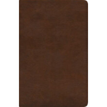 ESV SpanishEnglish Parallel Bible Other Book