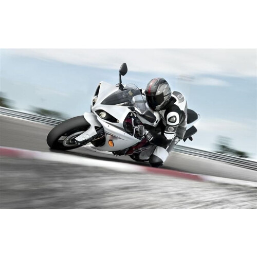 Motorcycle Frame Crash Pad Engine Sliders Protector For S1000RR 2015-2020 Titanium Color Finish 1