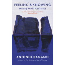 Feeling and Knowing by Antonio Damasio Paperback Book