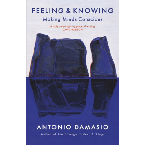 Feeling and Knowing by Antonio Damasio Paperback Book