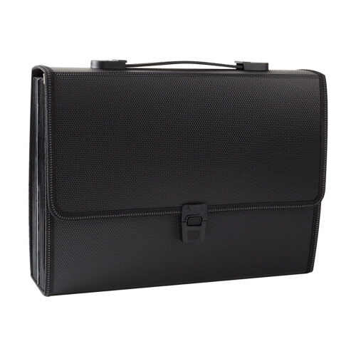 Clear View 26 Grid Expanded File Organiser Waterproof-Black