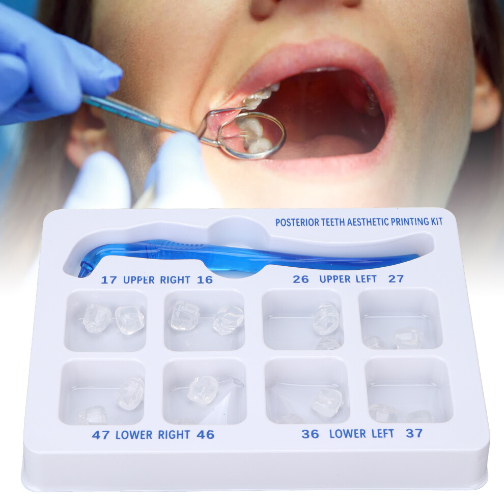 Posterior Teeth Aesthetic Printing Kit Rubber Dental Restoration Tool