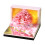 Twenty twenty six Weekly Planner Press Button Toss Plan-pink 1