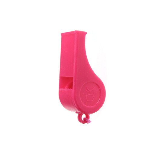 40Stk Pfeife Trainingspfeife Mit Halsband