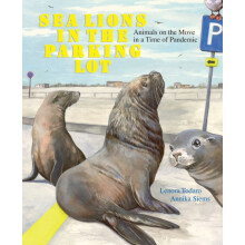 Sea Lions in the Parking Lot by Lenora Todaro Hardcover Book