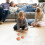 3St Lichtbruin Adorable Nep Ei Model Sfeervolle Desktop Accessoire 5