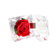 2Stk Rote Aus Geschenkschachtel Für Schmuck