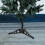 8 Pièces Support Stable Pour Sapin De Noël Artificiel 4
