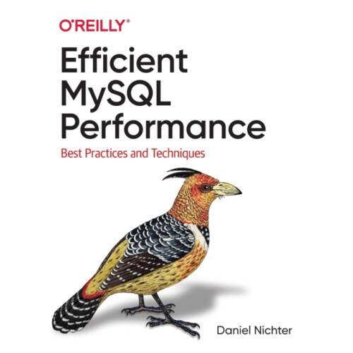 Efficient MySQL Performance by Daniel Nichter Paperback Book