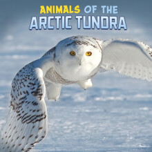 Animals of the Arctic Tundra by Martha E. H. Rustad Hardcover Book