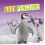 Baby Penguins by Martha E. H. Rustad Hardcover Book 1
