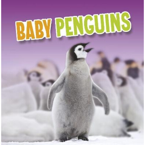 Baby Penguins by Martha E. H. Rustad Hardcover Book