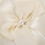 Ring Holder For Wedding Ceremony White Cloth Elegant 1pcs 7