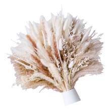 Pack of 96PCS Natural Dried Pampas Grass Decoration Bouquet for